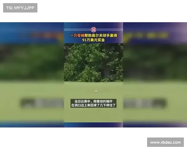 高尔夫球员巧遇意外时刻 苍蝇推球入洞夺650万元奖金